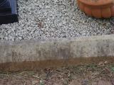 image of grave number 795125